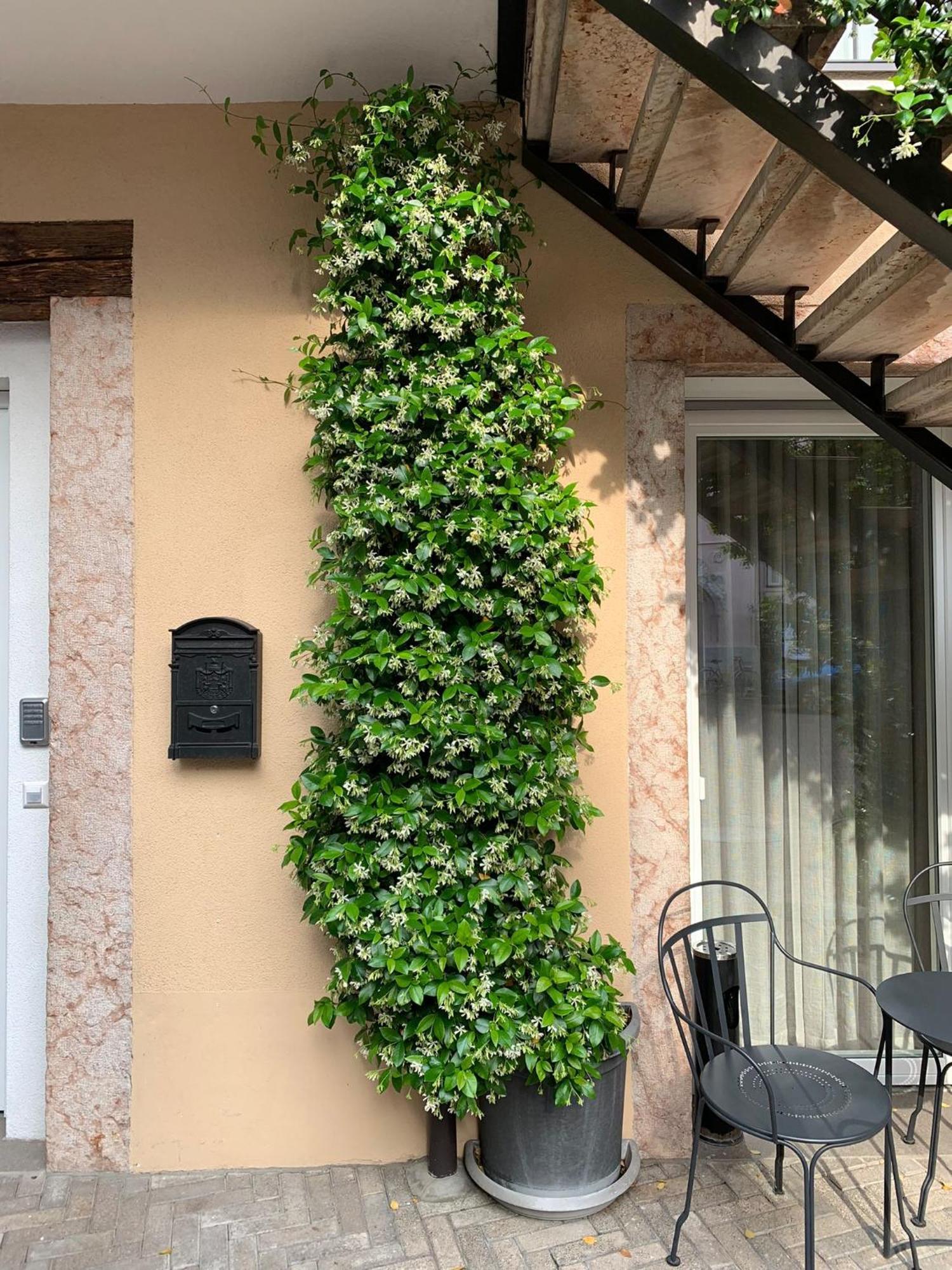Villa Jasmine Bolzano Exterior photo